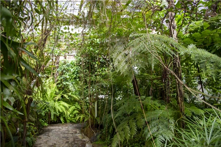 東山植物園(283)