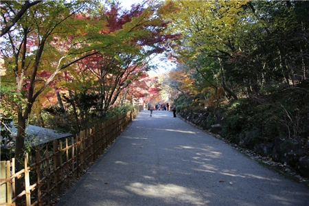 東山植物園(3)