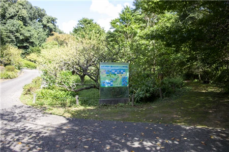 東山植物園(428)