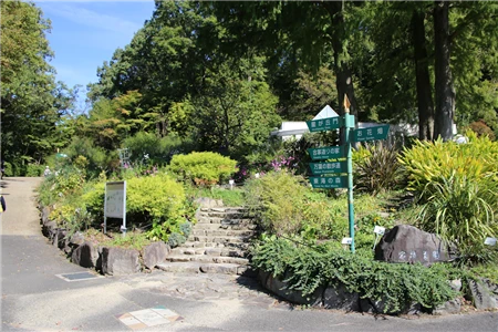 東山植物園(43)