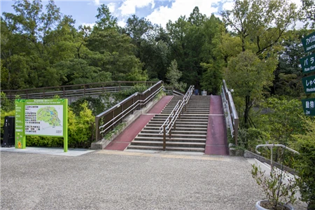 東山植物園(467)