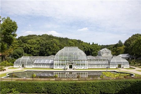 東山植物園(500)