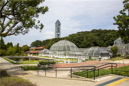東山植物園(502)