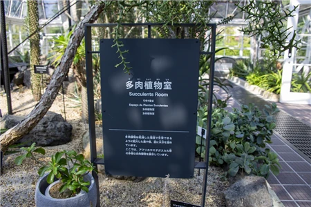 東山植物園(505)