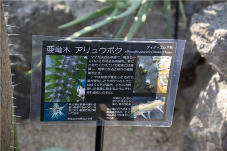 東山植物園(509)