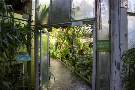 東山植物園(55)
