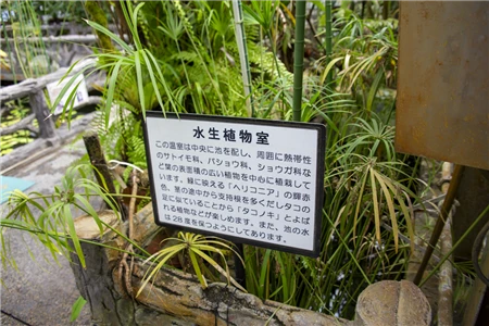 東山植物園(640)