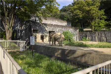 東山動物園北園(360)